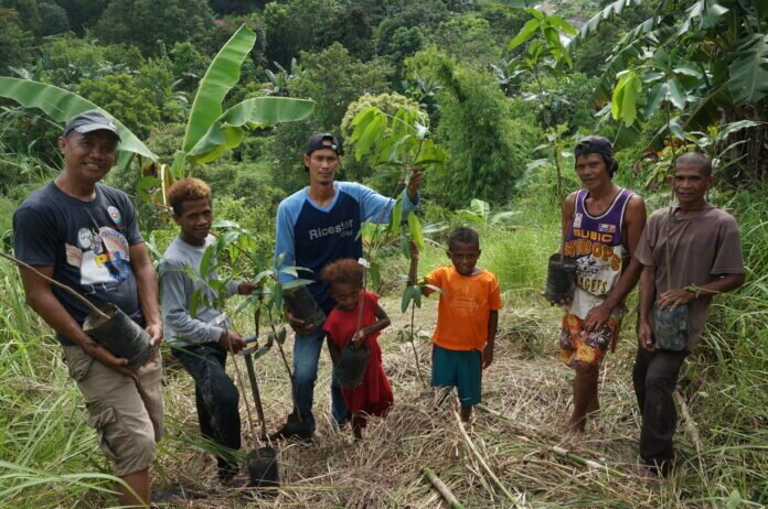 planting trees copy