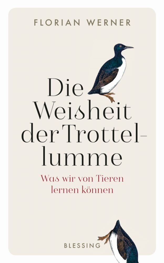 Bl_Werner_Weisheit der Trottellumme_SUS.indd