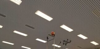 Lindens Basketballer starten mit 2 Siegen in ihre erste Saison