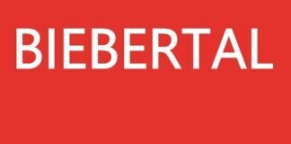 Mit welcher konkreten Politik können wir der zunehmenden Tendenz zu rechtsextremen Parteien entgegenwirken?