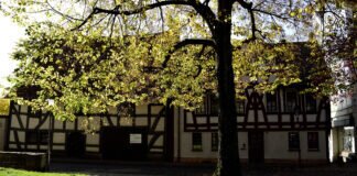 Herbstliches Flair in Grünberg.