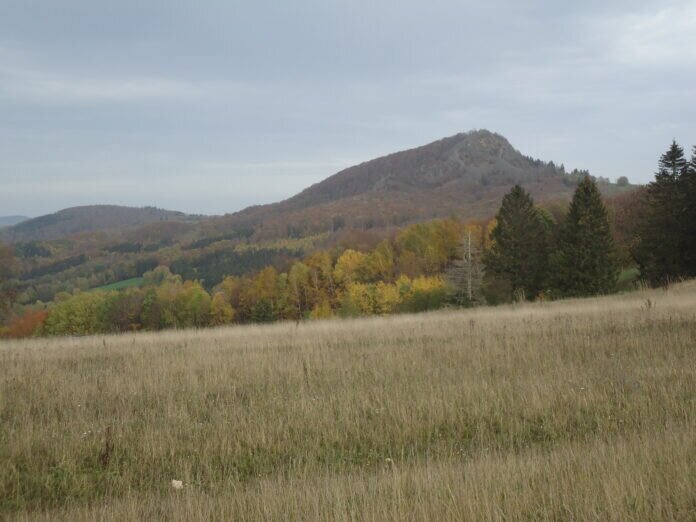 DSC06382