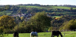 Unsere >Große Runde< Spaziergang durch Grünberger Feldgemarkung.