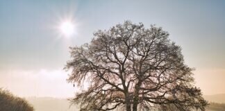Winterspaziergang bei Raureif, Sonnenaufgang und minus 7 Grad…..