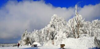 Winterwunderland auf dem Hoherodskopf