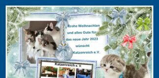 Frohe Weihnachten wünscht Katzenreich e.V.
