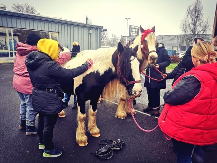 ponys-1
