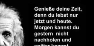 Das Team der Tieroase Heuchelheim wünscht den Mitarbeitern und Mitarbeiterinnen der Giessener Zeitung sowie allen , die unsere Arbeit unterstützen ein friedliches Jahr 2023