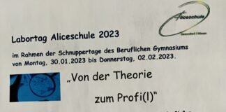 Schnuppertage am Beruflichen Gymnasium Aliceschule