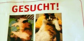 Verzweifelter Hilferuf einer unkrainischen Familie!