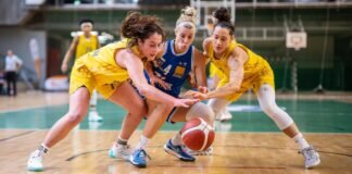 Blue Dolphins Marburg unterliegen bei Alba Berlin