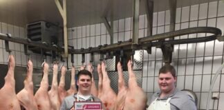 Kielbassa-Fleischwurst im Ring mit Gold prämiert