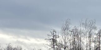 Herbststimmung im Frühling
