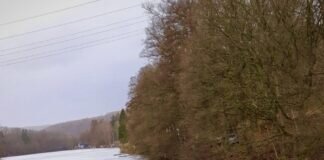 Die “Gans Wilden Hassianer” erkämpfen in Beyenburg Platz 2 auf der Langstrecke über 8,5km