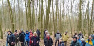 Wanderung rund um das Hungener Wildnisgebiet entlang historischer Grenzsteine