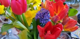 Frühling
