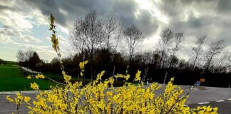 Die Natur zeigt erste Lebenszeichen – Wetterkabriolen reißen jedoch nicht ab.
