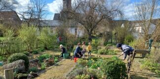 Den Bauerngarten in Frankenbach bearbeitet