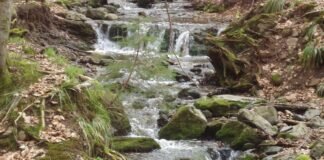 Rhön: Durch die Kaskadenschlucht ins Rote Moor
