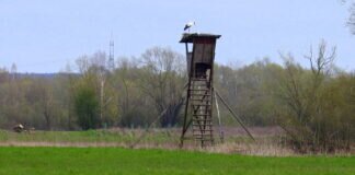 Kleine Fahrradtour im Lahntal zwischen Heuchelheim und Wetzlar