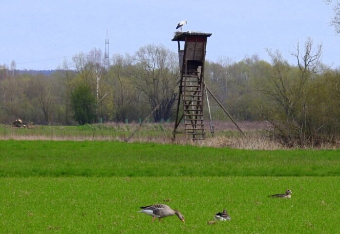 DSCN6477