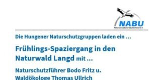 Frühlings-Spaziergang in den Naturwald Langd