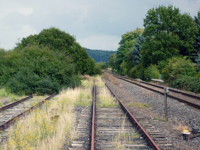 P1230590-1200