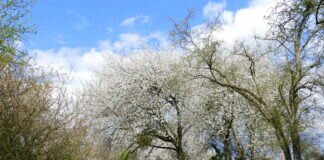 Schnappschuss – Endlich Frühling