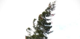 Tolle Maifeier in Holzheim mit “blechBRAND-Blasmusik hochprozentig”