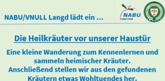 Die Heilkräuter vor unserer Haustür