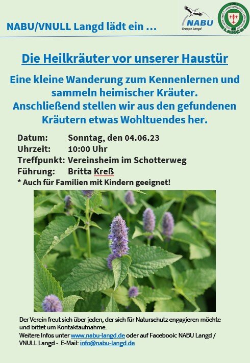 2023-06-04-Kraeuter-hoch