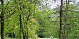 Herzheilbad Bad Nauheim!