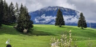 Immer wieder Allgäu !