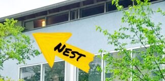 Kein Recht auf Leben?