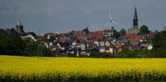 Blütenreigen in Grünberg – Vollfrühling hat Einzug gehalten.