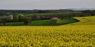 Frühjahrs-Radtouren im Bild.