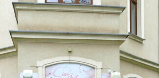 Ein Besuch im Katzencafe ” Ciou Miau ” in Chemnitz