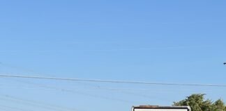 Brückensanierung und Artenschutz – vorbildlich gelöst