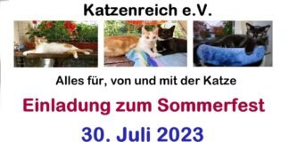 Katzenreich Sommerfest