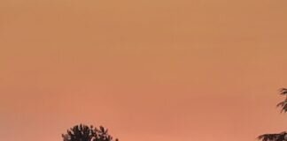 Sonnenaufgang 23.8.,6.30h in Lich
