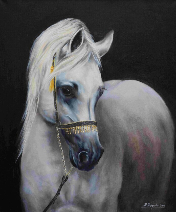 Arabischer Adel