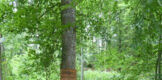 Von Weilburg nach Aumenau 20 km auf dem Lahnwanderweg zurückgelegt
