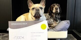„JUNG&KLEMKE: Wo Architektur auf Tierschutz trifft”