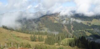 Rund um Grasgehren (Allgäu): Herbstwanderung über Wannenkopf, Bolgengrat und Riedberger Horn