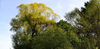 Oh Herbst, wie bist du so schön – Radtour in Wort & Bild.