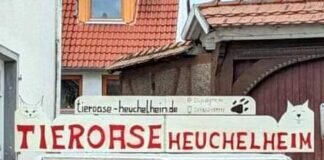 Martinsmarkt in Heuchelheim !