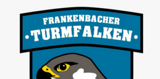 Frankenbacher Turmfalken