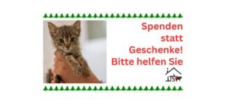 Spenden statt Geschenke!