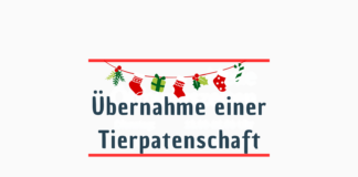 Tierpatenschaft z. B. für SCHNUFFI