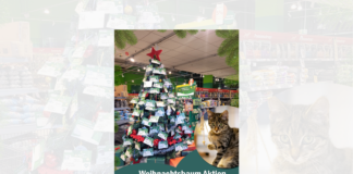 Weihnachtsbaum Aktion